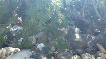 River Cleanup 28 Feb 2021 02