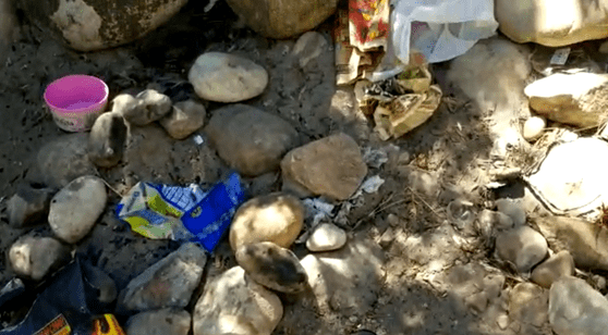 River Cleanup 28 Feb 2021 04